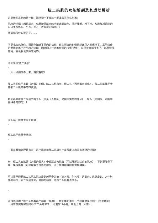 肱二头肌的功能解剖及其运动解析