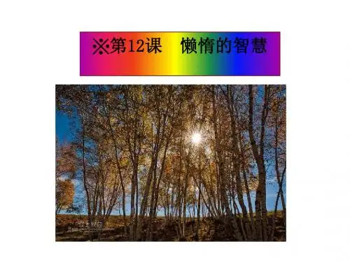 懒惰的智慧ppt课件(2)全面版