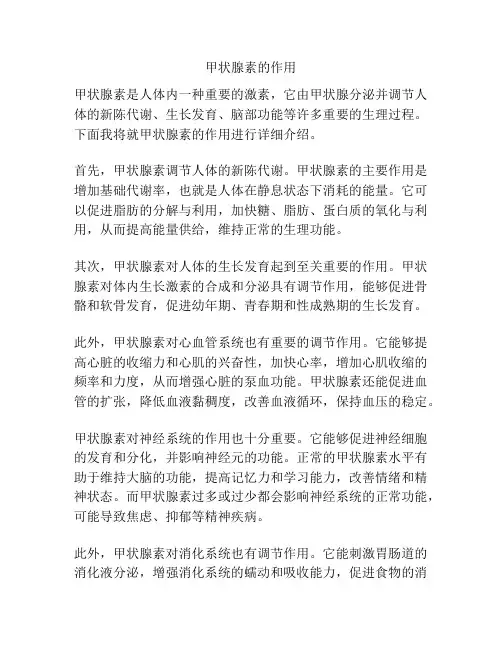 甲状腺素的作用