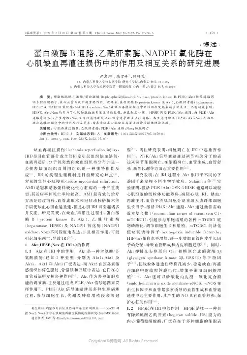 蛋白激酶B通路、乙酰肝素酶、NADPH_氧化酶在心肌缺血再灌注损伤中的作用及相互关系的研究进展