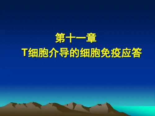 第十一章细胞免疫2