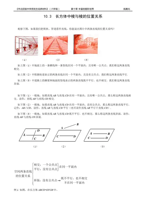 市北资优六年级分册 第10章 10.3 长方体中棱与棱的位置关系+杨晨光