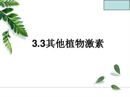 高中生物人教版必修3教案-3.3其他植物激素