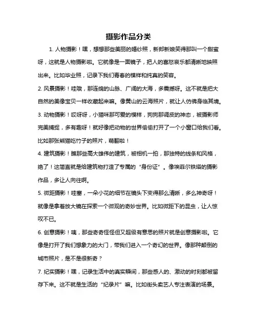 摄影作品分类