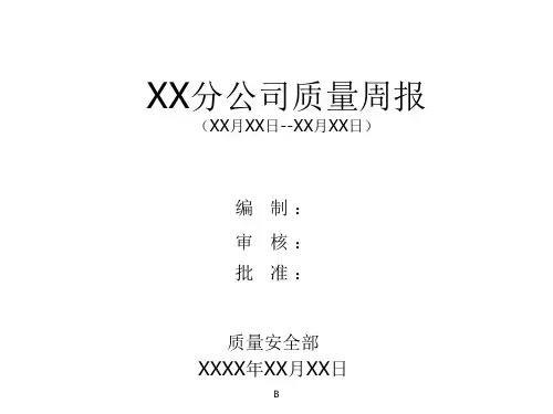 质量周报模版