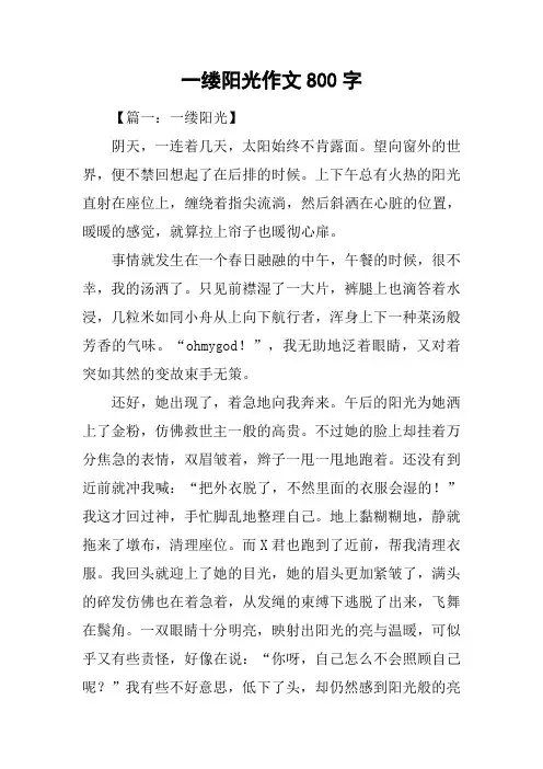 一缕阳光作文800字