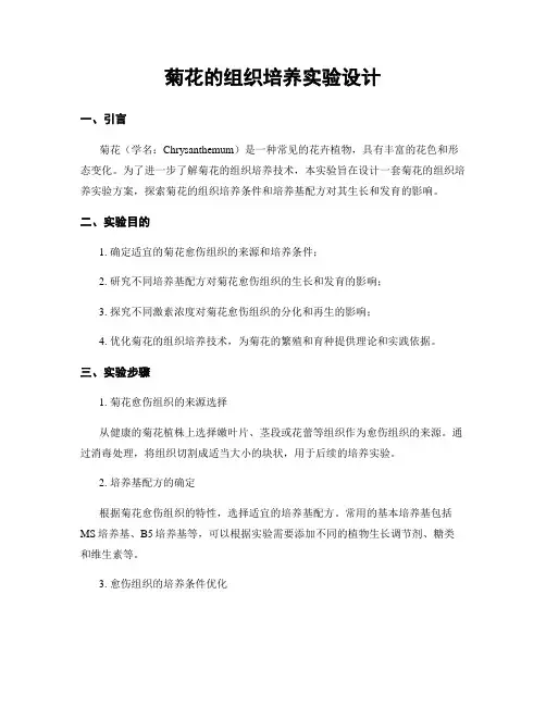 菊花的组织培养实验设计