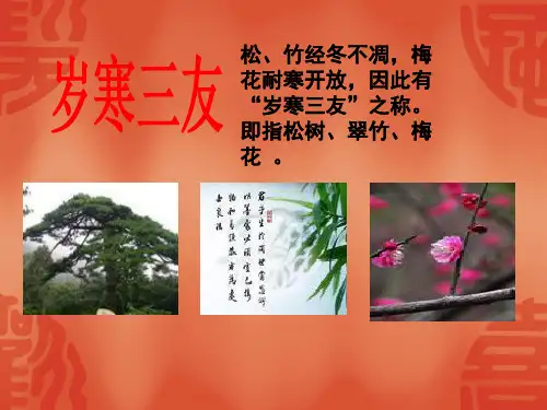 语文六年级上北师大版《墨梅图题诗》课件(23张)