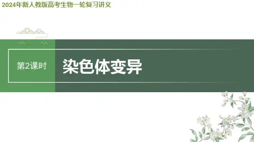 2024年新人教版高考生物一轮复习讲义  第7单元 第2课时 染色体变异