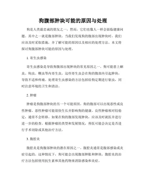 狗腹部肿块可能的原因与处理