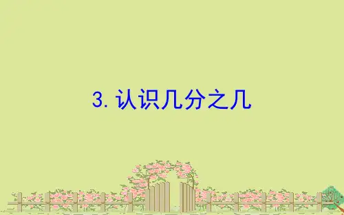 新人教版小学数学《几分之几》完美课件1