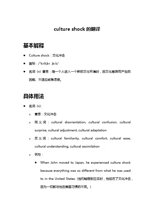 culture shock的翻译