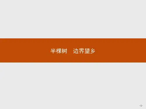 人教选修《中国诗歌散文欣赏》半棵树课件