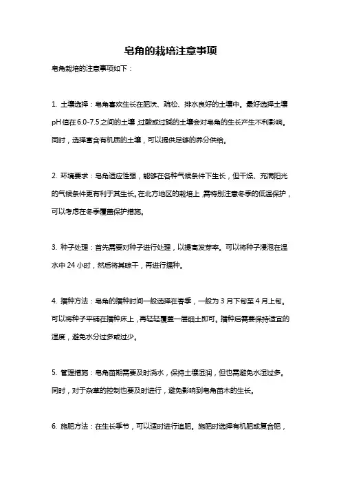 皂角的栽培注意事项