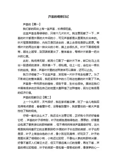 芦荟的观察日记