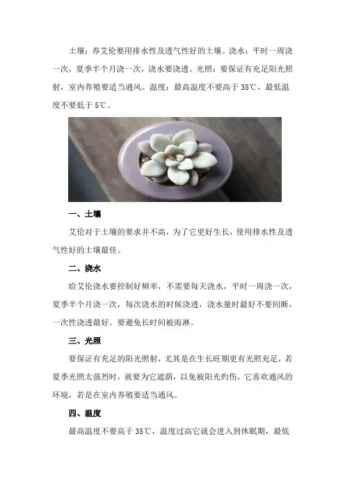 艾伦的养殖方法和注意事项_1