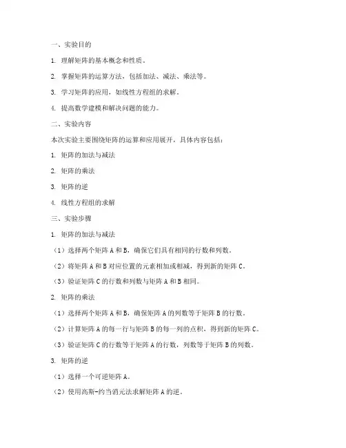 矩阵式实验报告