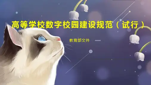 高等学校数字校园建设规范(试行)