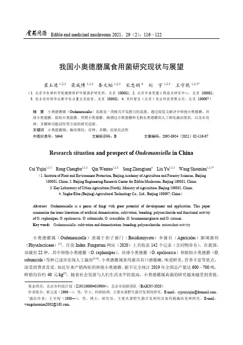我国小奥德蘑属食用菌研究现状与展望