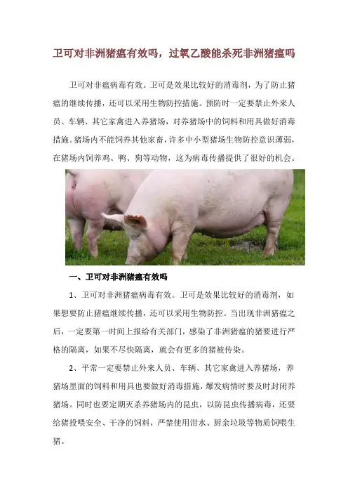 卫可对非洲猪瘟有效吗,过氧乙酸能杀死非洲猪瘟吗