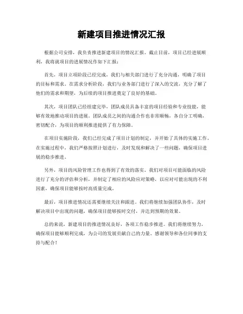 新建项目推进情况汇报