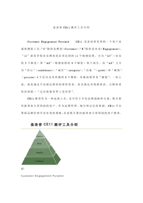 盖洛普CE11测评工具介绍