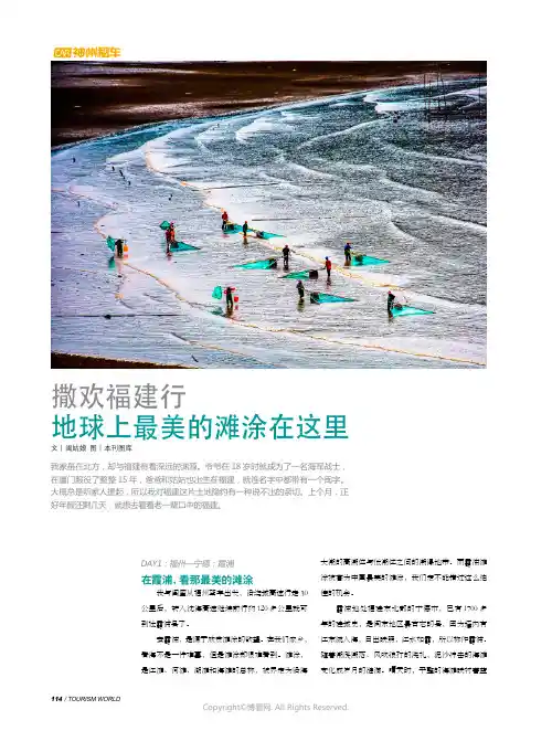 地球上最美的滩涂在这里