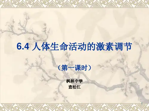 人体生命活动激素调节PPT参考课件