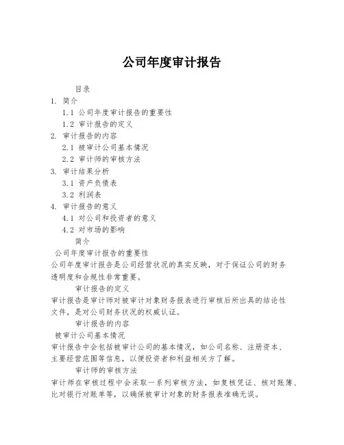 公司年度审计报告