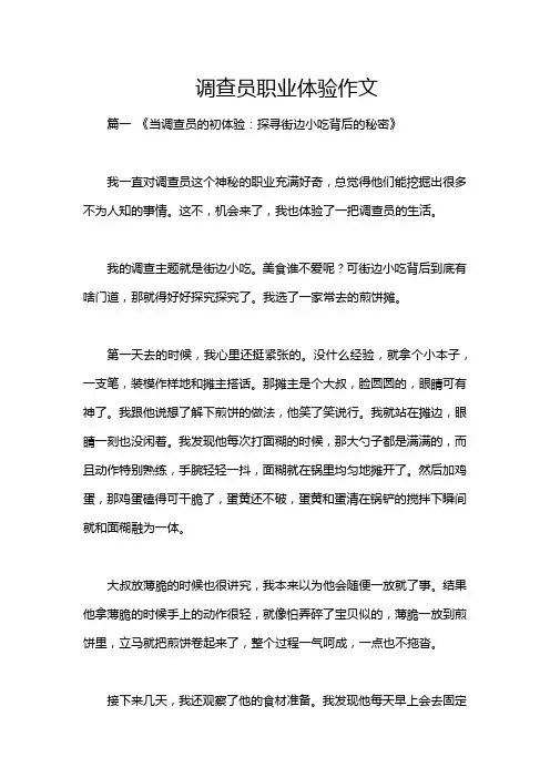 调查员职业体验作文