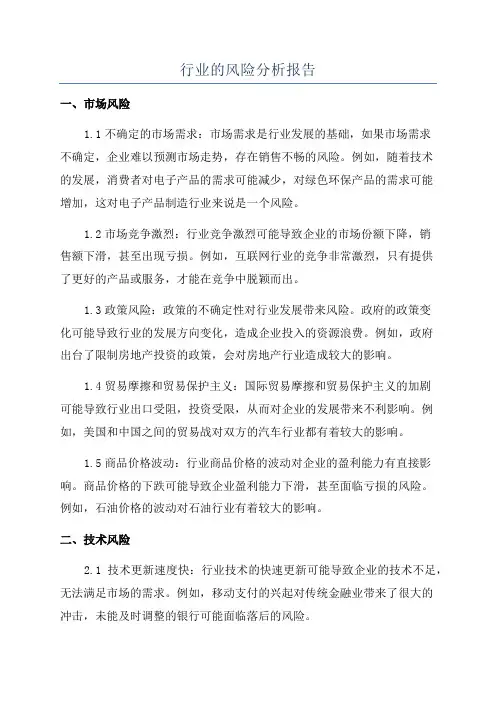 行业的风险分析报告
