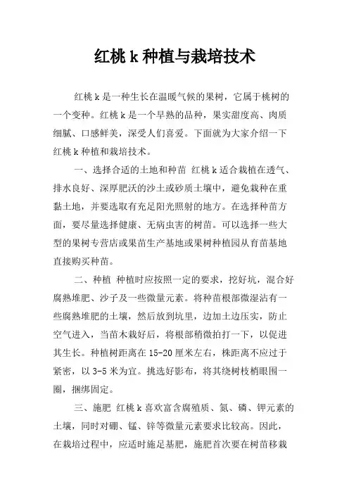 红桃k种植与栽培技术