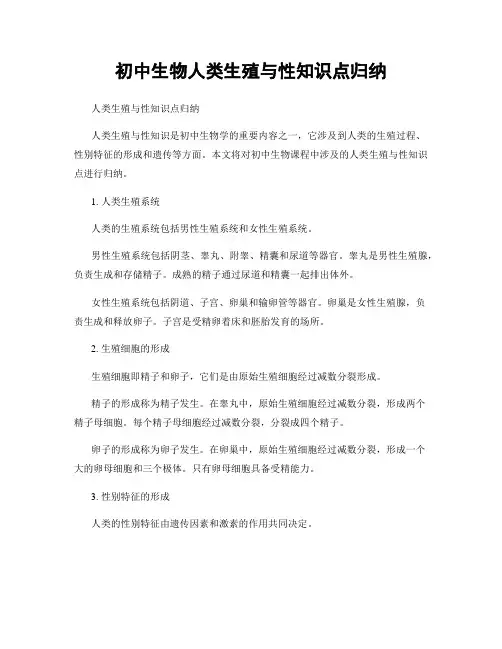 初中生物人类生殖与性知识点归纳
