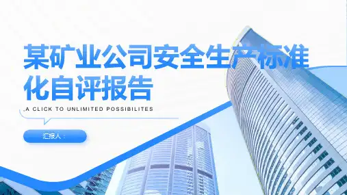 某矿业公司安全生产标准化自评报告