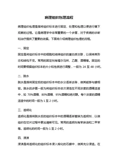 病理组织包埋流程