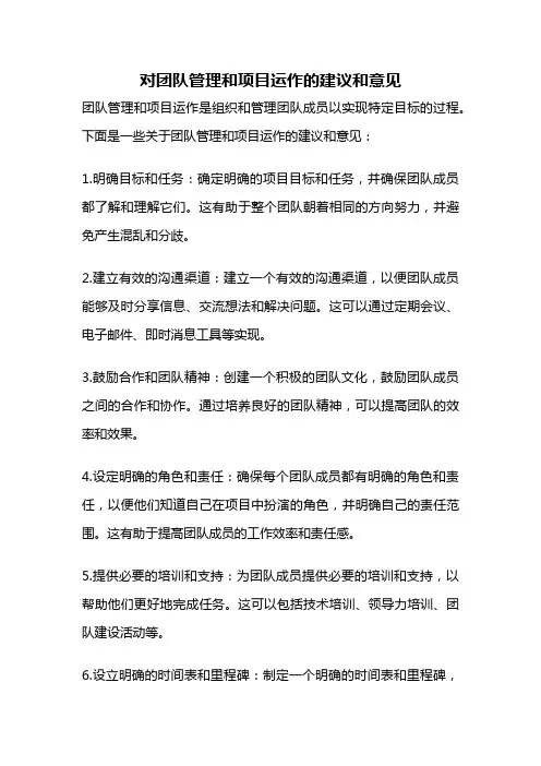 对团队管理和项目运作的建议和意见