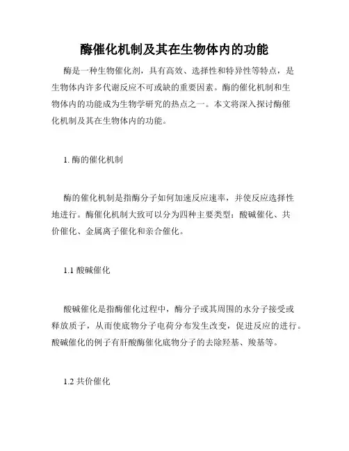 酶催化机制及其在生物体内的功能