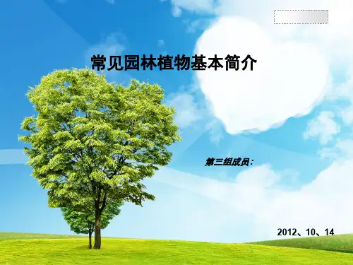 常见园林植物基本简介 PPT课件