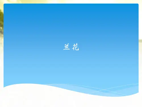 兰花 PPT