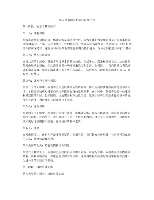 成人搏击刚开始学习训练计划