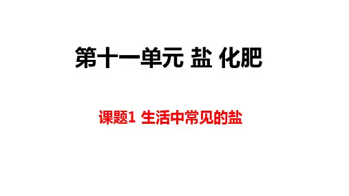 九年级化学下册  11.1生活中常见的盐(共17张PPT)