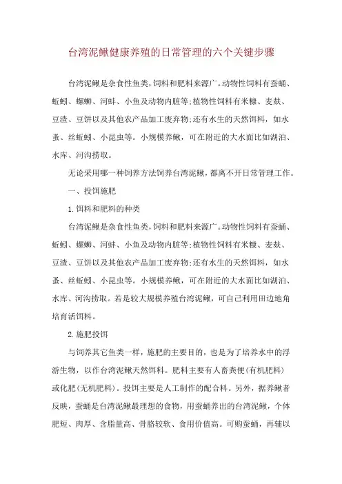 台湾泥鳅健康养殖的日常管理的六个关键步骤
