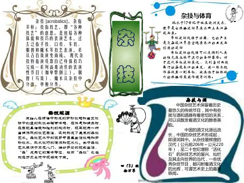 杂技