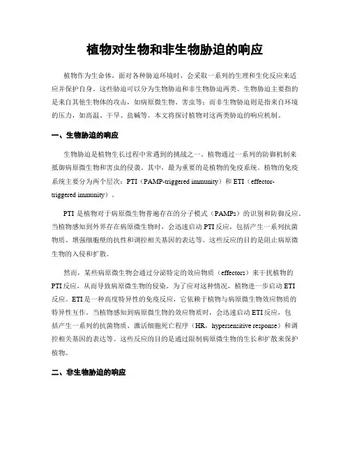 植物对生物和非生物胁迫的响应