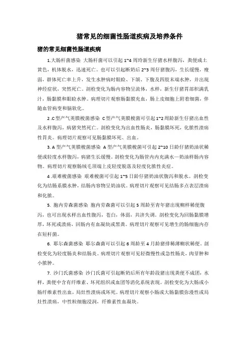 猪的常见细菌性肠道疾病