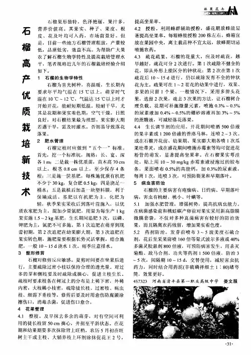 石榴高产优质栽培新技术
