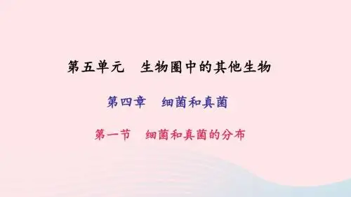 八年级生物上册第五单元第四章第一节细菌和真菌的分布习题课件(新版)新人教版