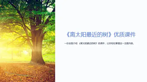 《离太阳最近的树》课件