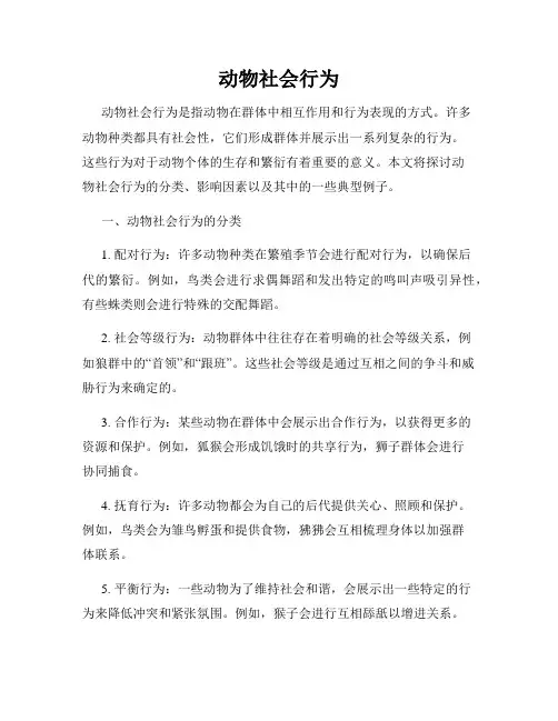 动物社会行为