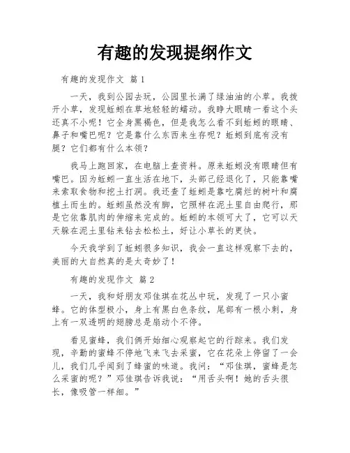 有趣的发现提纲作文